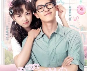 Drama China Unusual Idol Love (2021) Subtitle Indonesiaa
