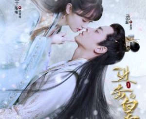 Download Drama China The Queen of Attack Subtitle Indonesia