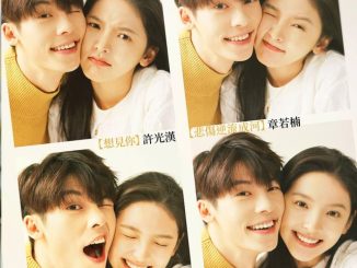 Download Film China My Love Subtitle Indonesia